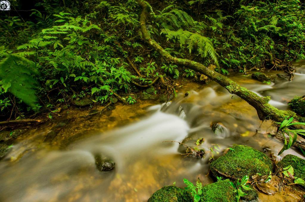 Hotel Cipreses Monteverde Zewnętrze zdjęcie