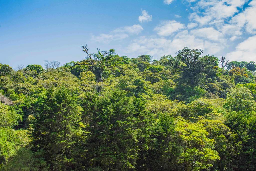Hotel Cipreses Monteverde Zewnętrze zdjęcie
