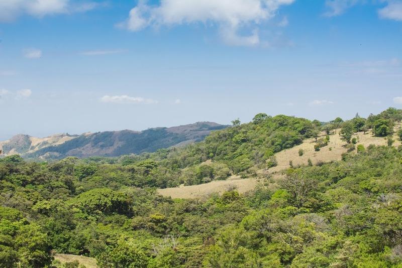 Hotel Cipreses Monteverde Zewnętrze zdjęcie